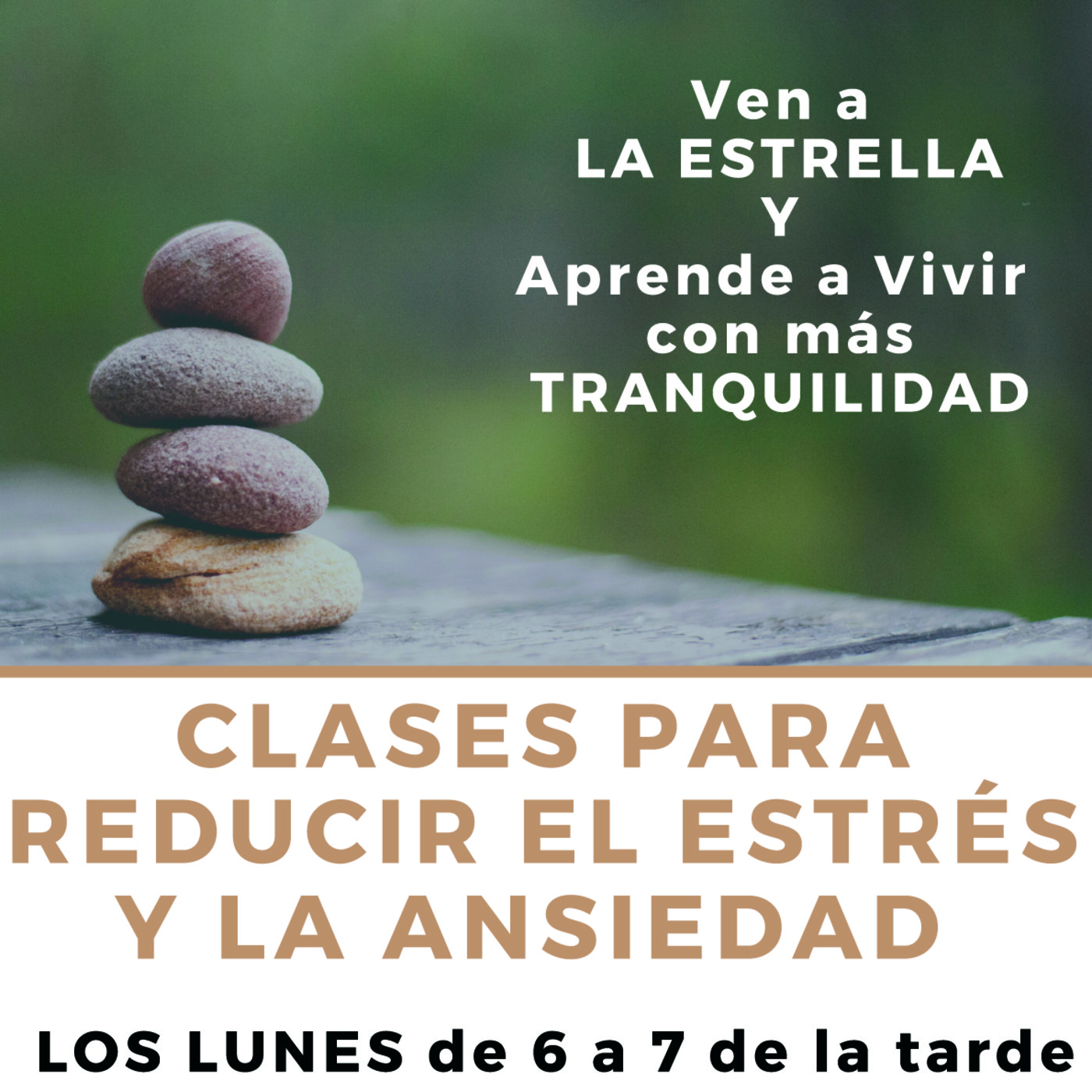 Mindfulness con Luz Navas Torres