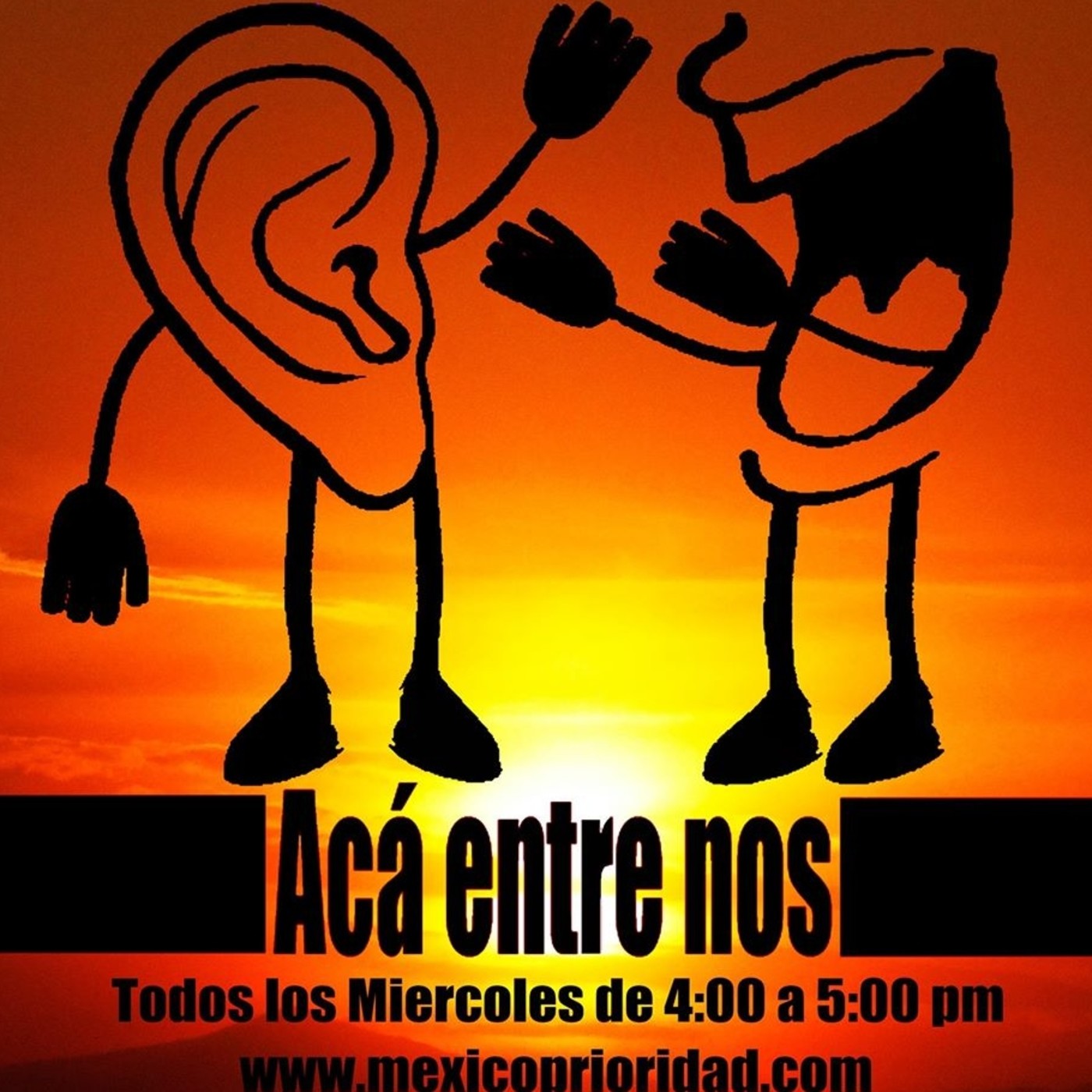 AEN 31 Enero 2018 "¿Cómo afectan los desastres a la agricultura?" episode artwork