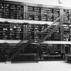 La escuela 11