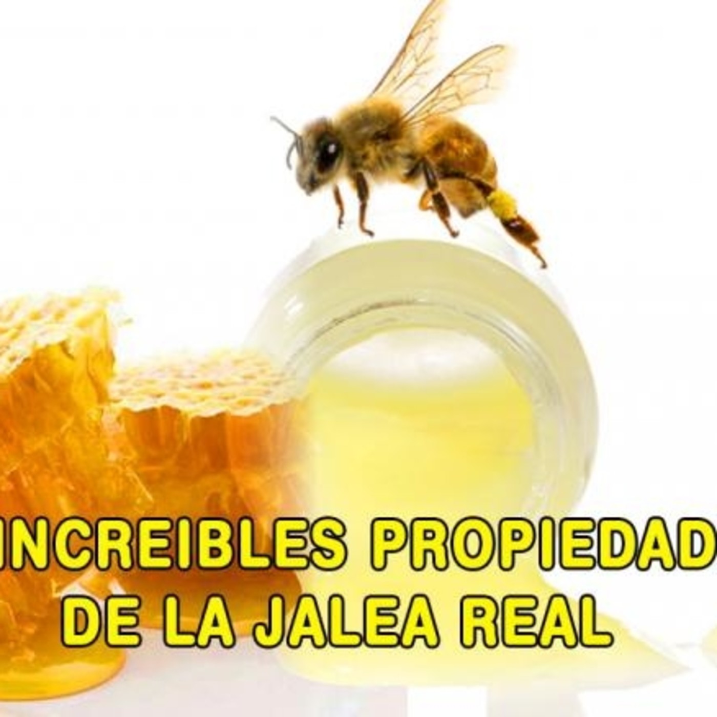 Las increíbles abejas, sus productos y beneficios