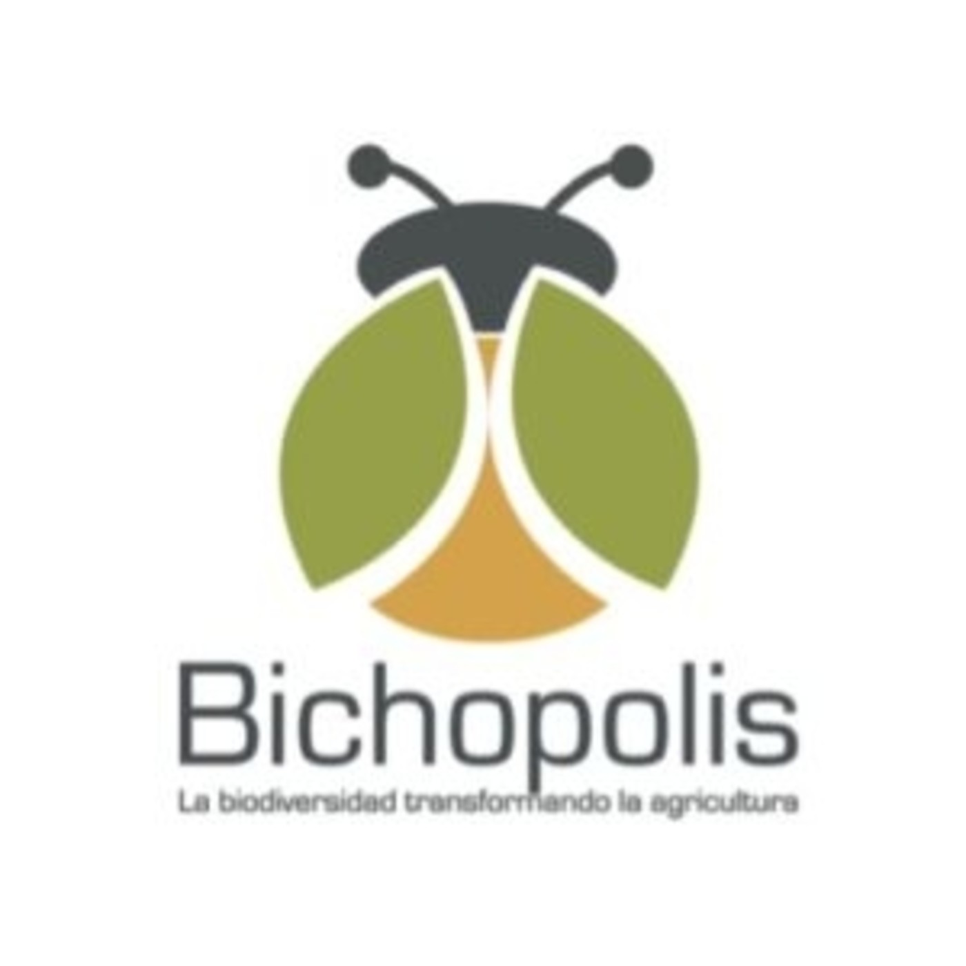 CienTipensante
