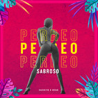 Mix Perreo Sabroso - DJ Bego Ft DJ Cachito