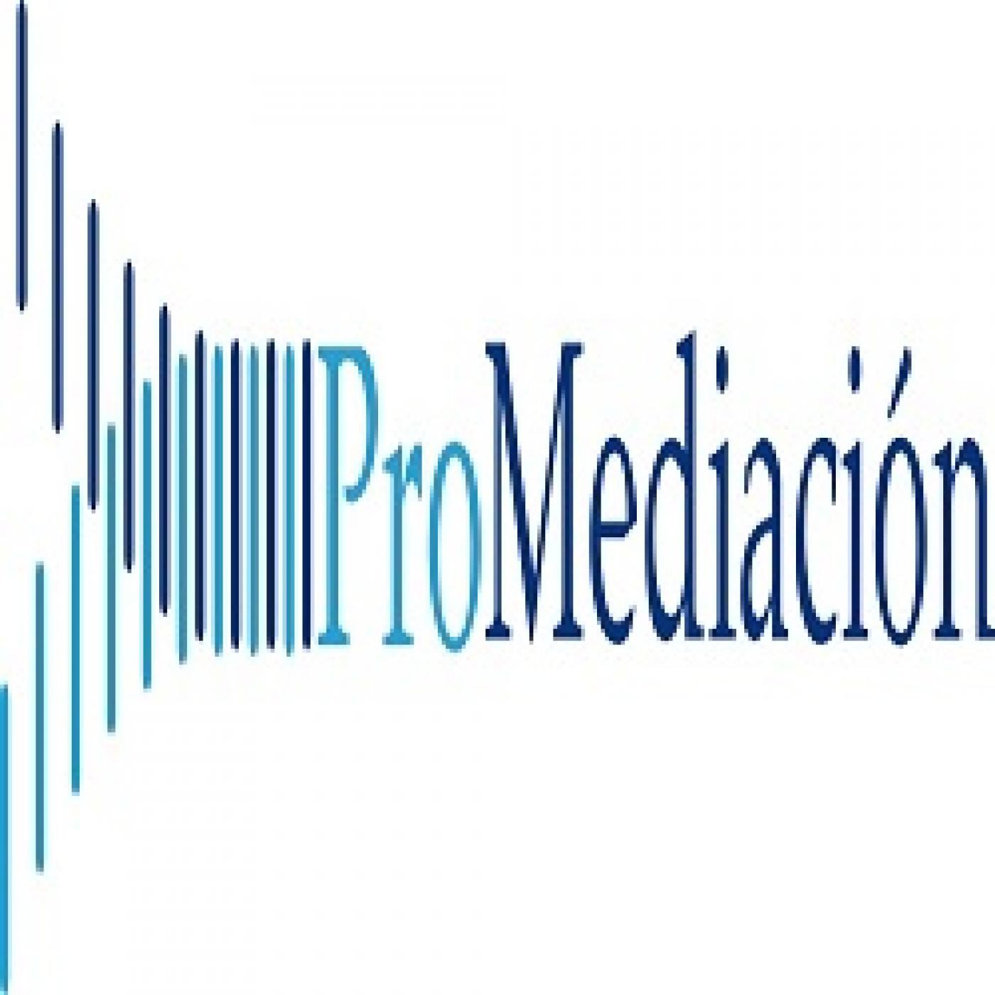 Mediación con la mediadora Chusa Fernández y el mediador mercantil Arturo Ortíz