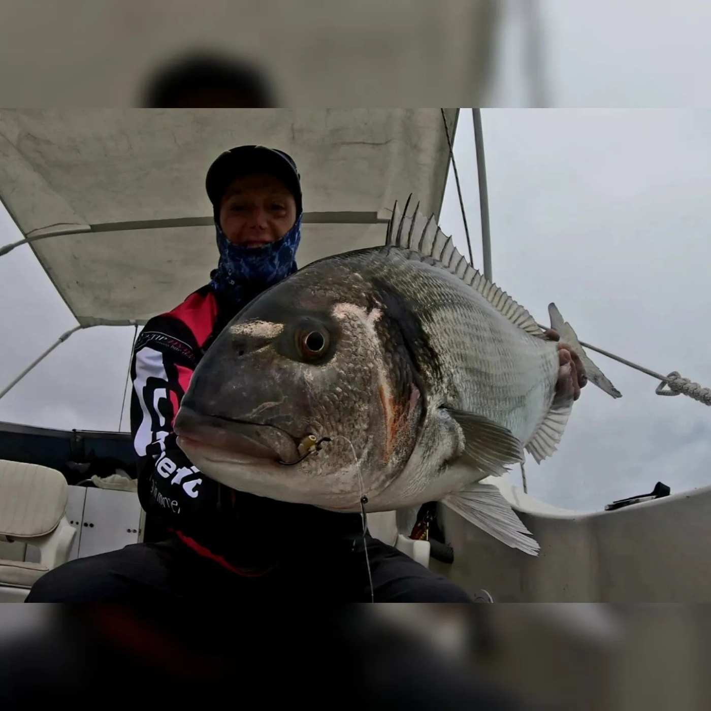 Rio de la Vida pesca
