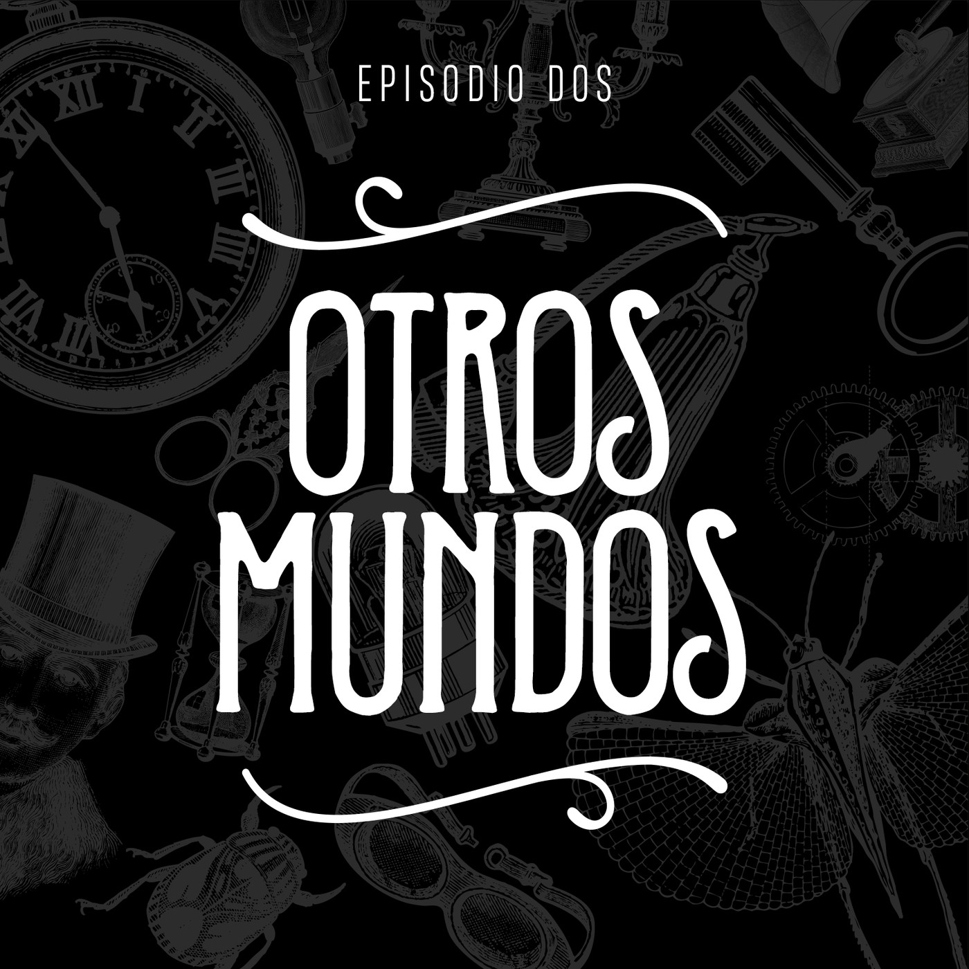Gabinete de curiosidades