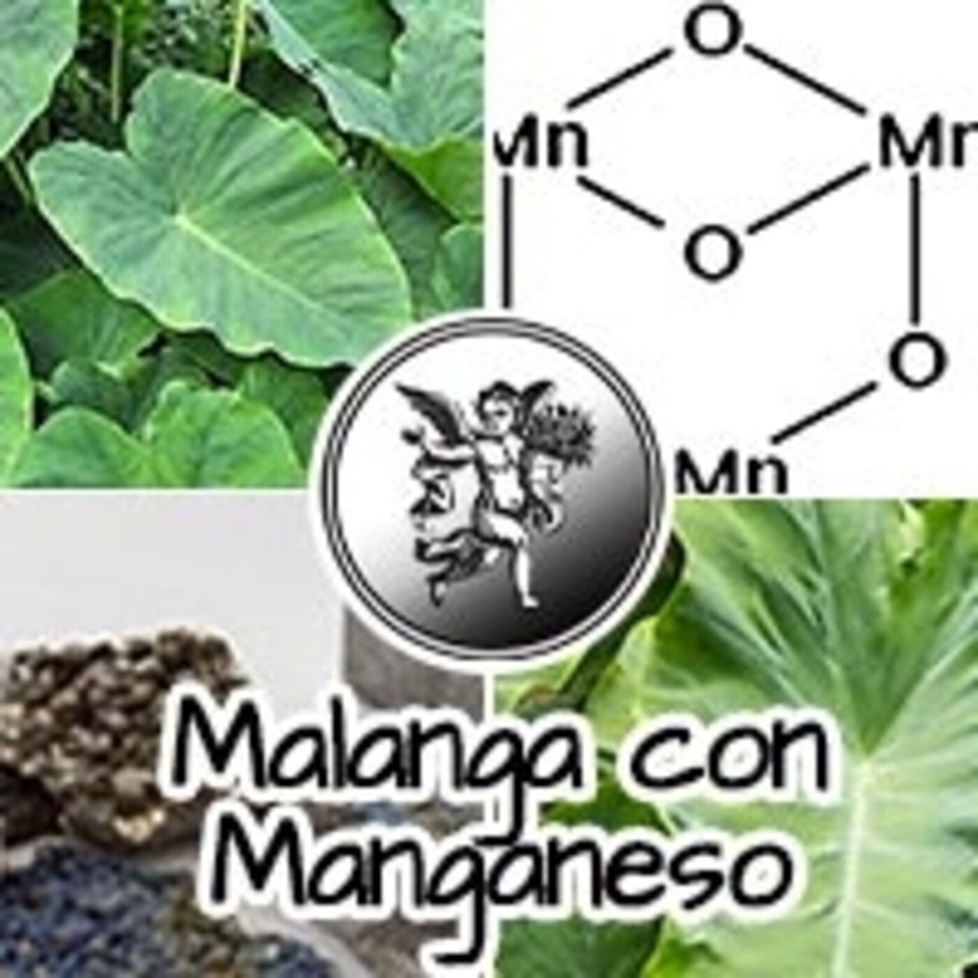 El Angel de tu Salud - MALANGA CON MAGNESIO episode artwork