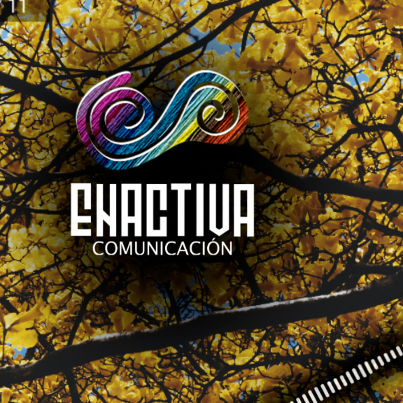 Enactiva Comunicación