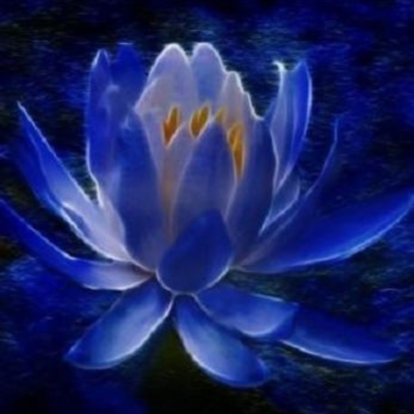 Podcast Reflexiones de Luz y Amor