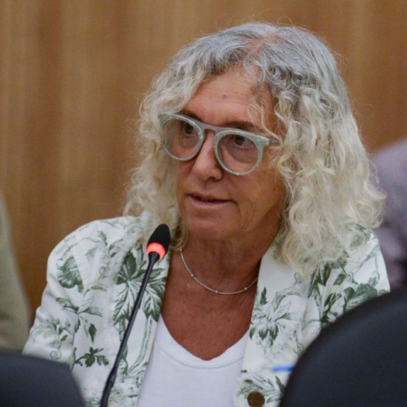 Mónica Frade @MonicaFradeok (Diputada Nacional por la Pcia. Bs As. Coalición Cívica, en JxC) Unas Cuantas Verdades
