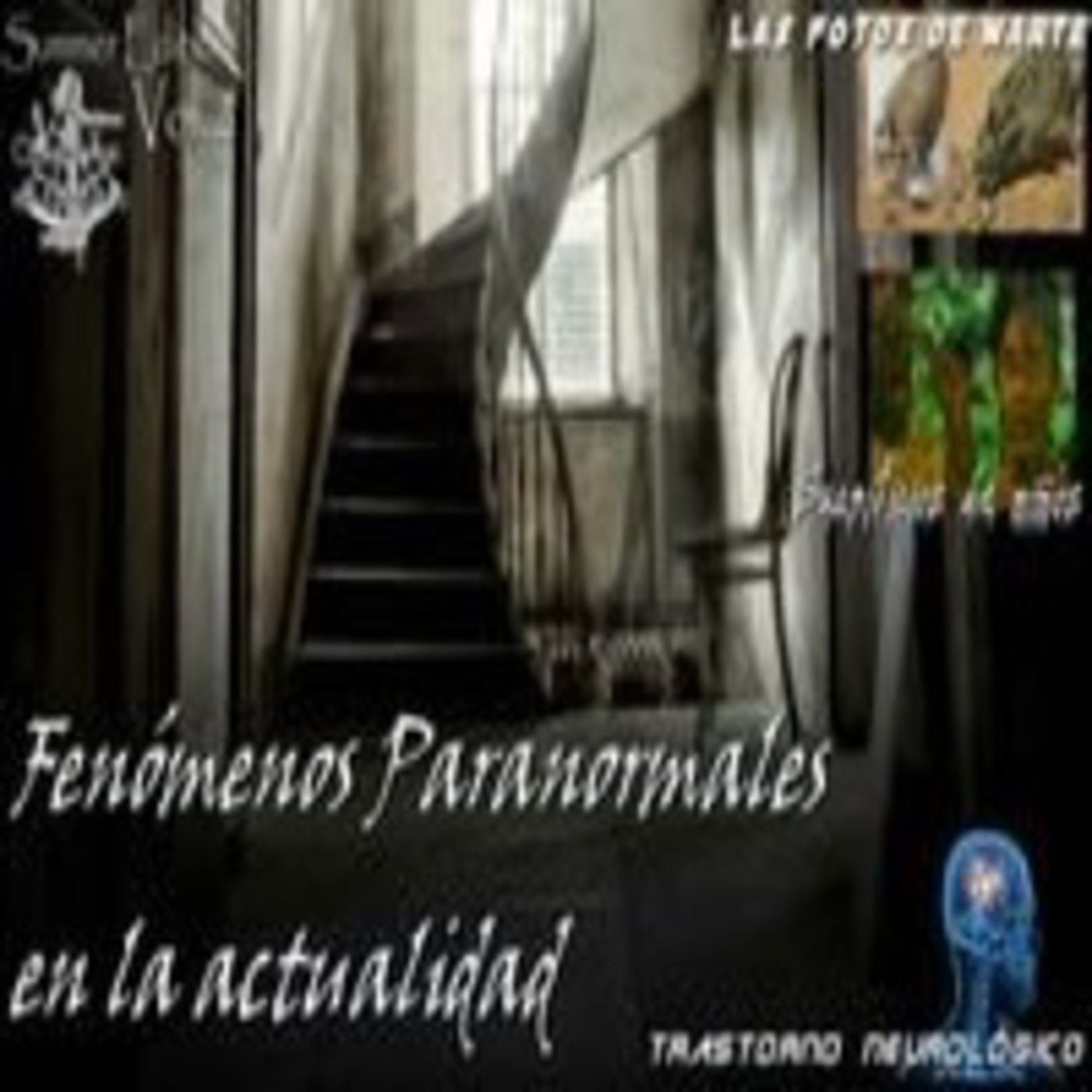 Cuadernos de Bitácora (Misterio·Ciencia·Historia)