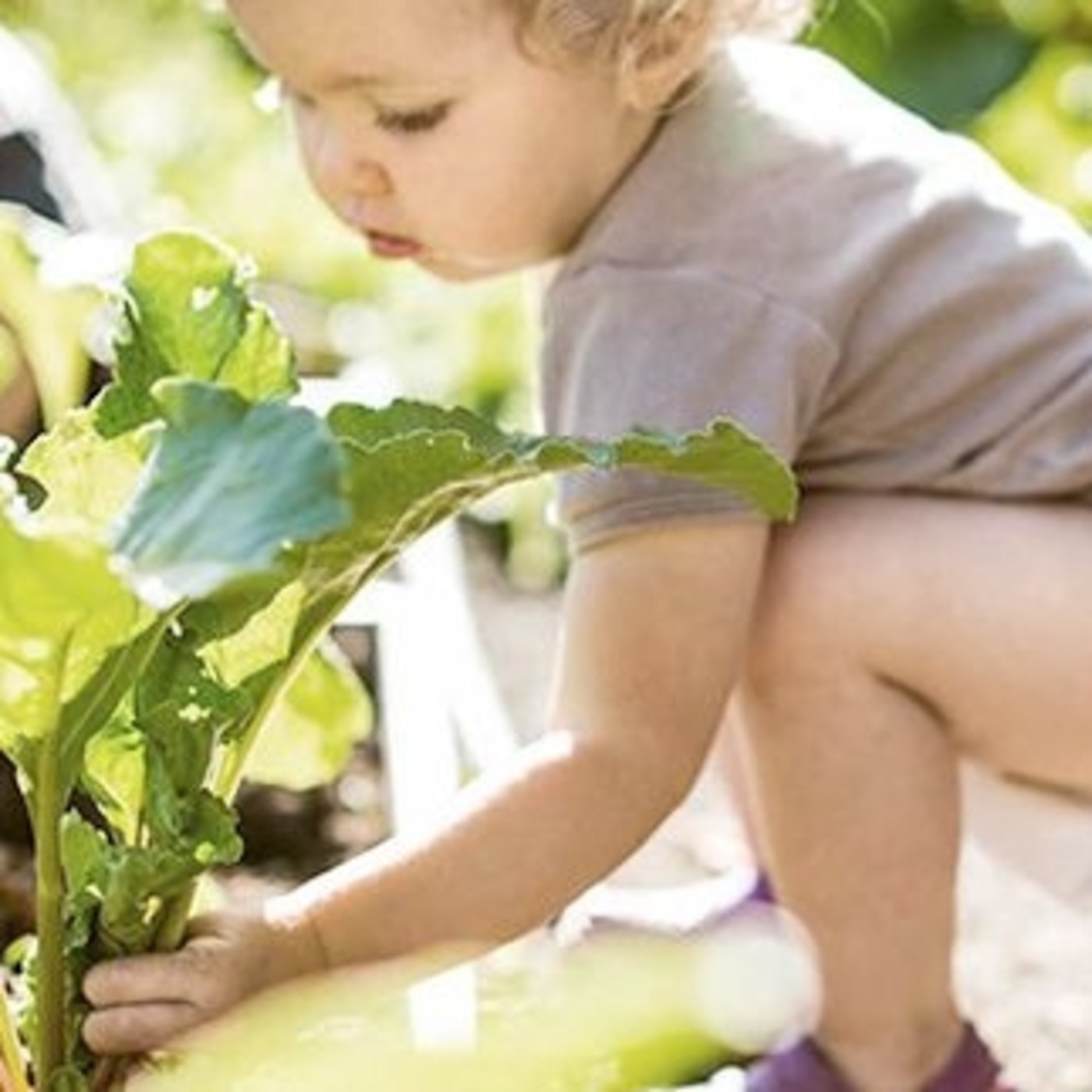 Buenos días Tabanera