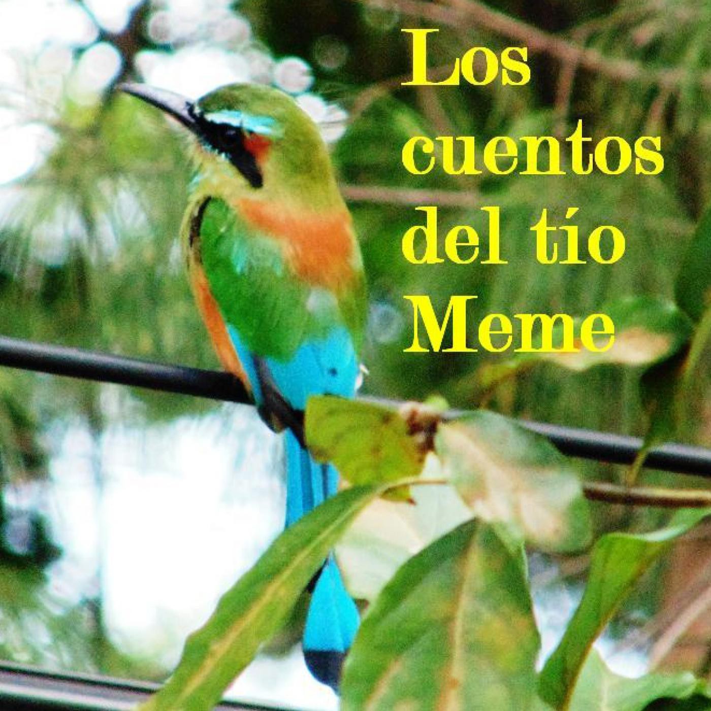 LOS CUENTOS DEL TÍO MEME