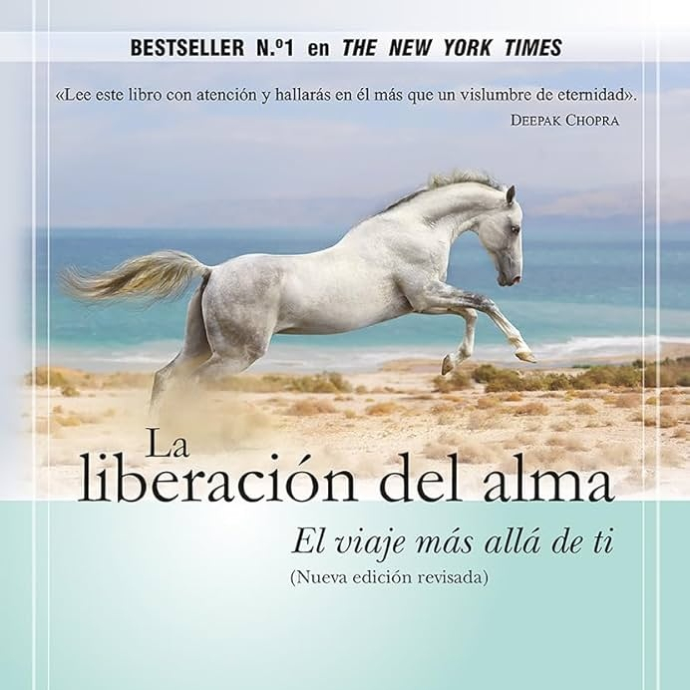 Salvador Mingo -Conocimiento Experto-