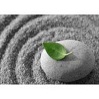 'En la Quietud' - Eckhart Tolle