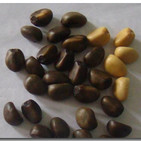 embed image