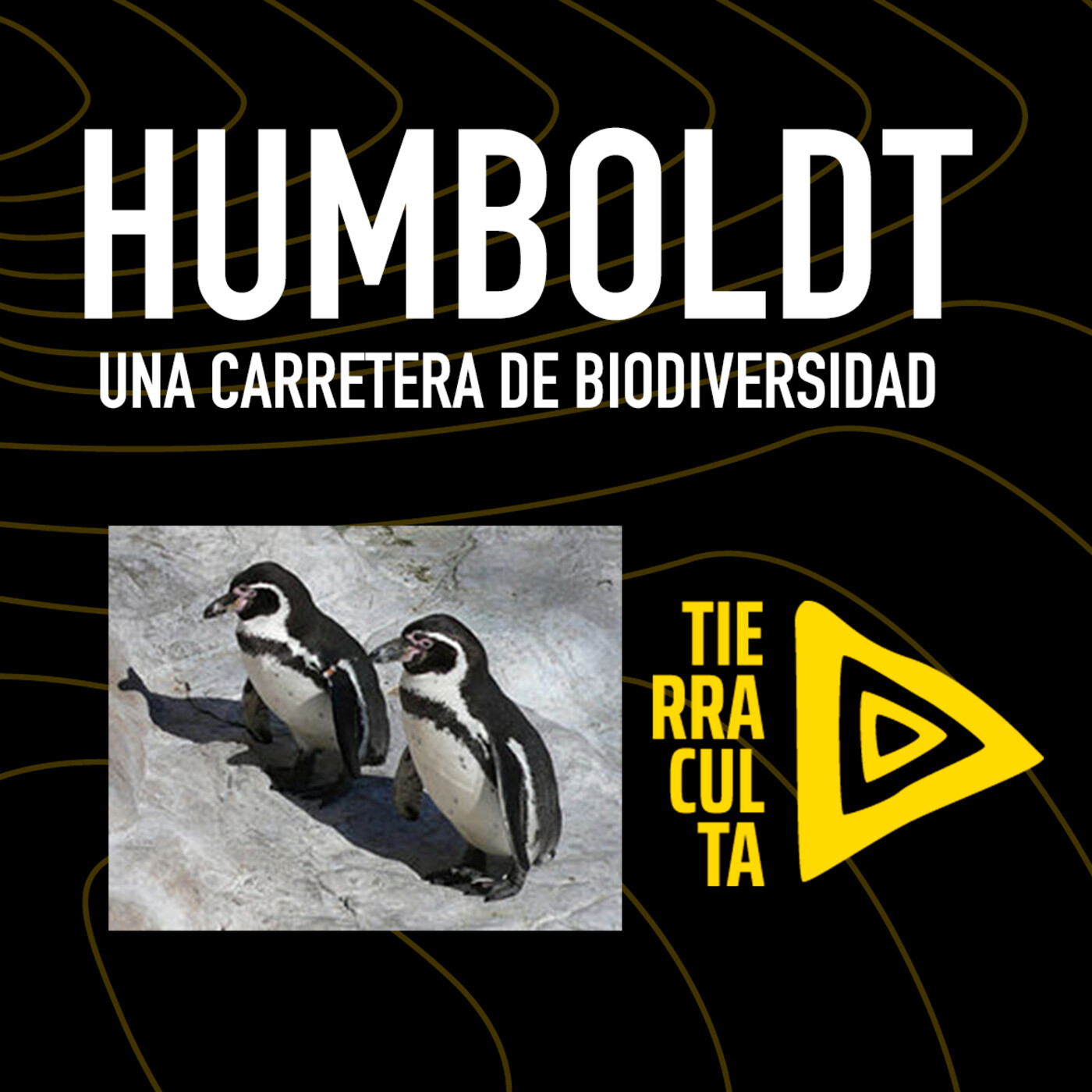 Tierra Culta