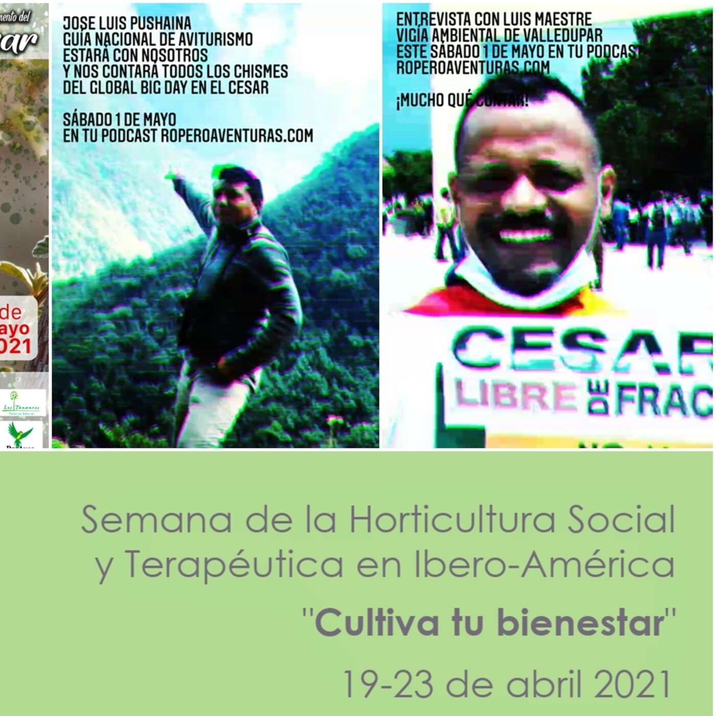Respaldo sonoro