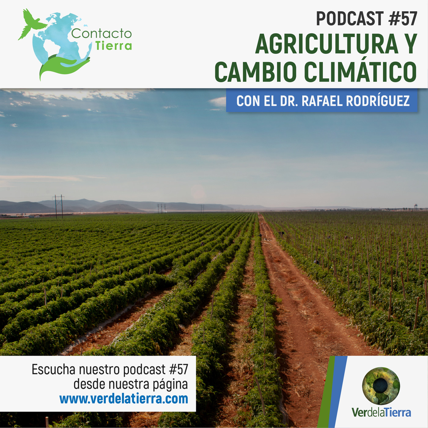 Contacto Tierra