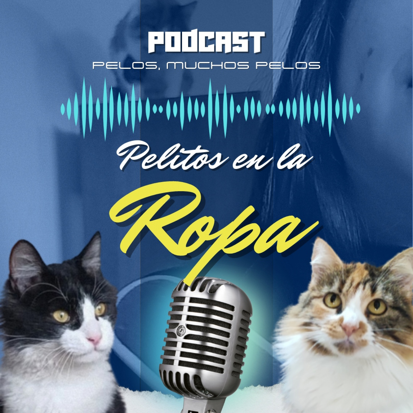 PELR: Pelitos en la Ropa