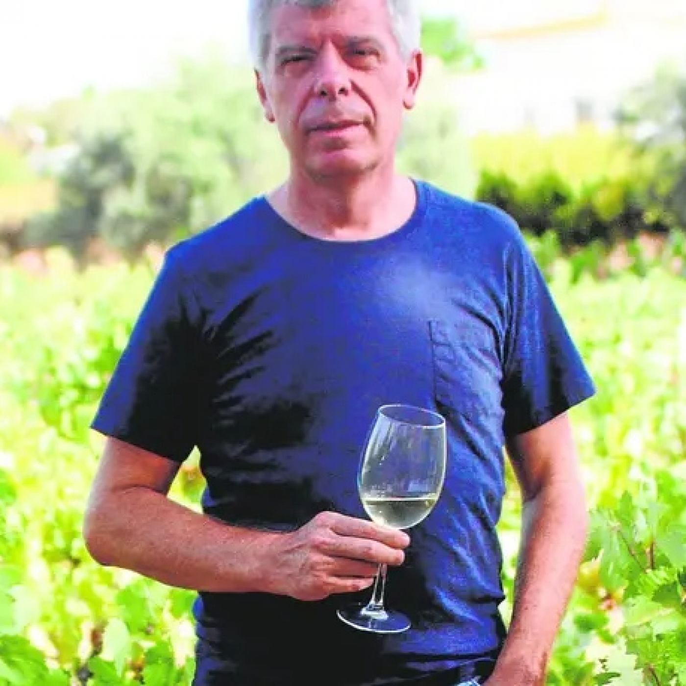 Bodegas Robles
