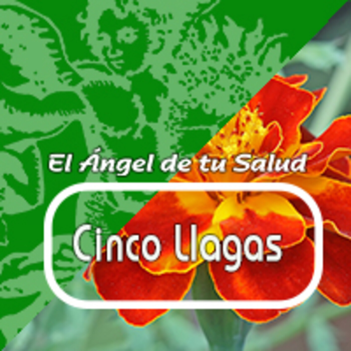 El Angel de tu Salud - CINCOLLAGAS*** episode artwork