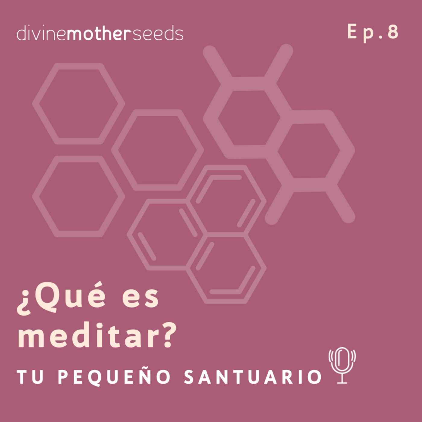 8. ¿Qué es meditar?