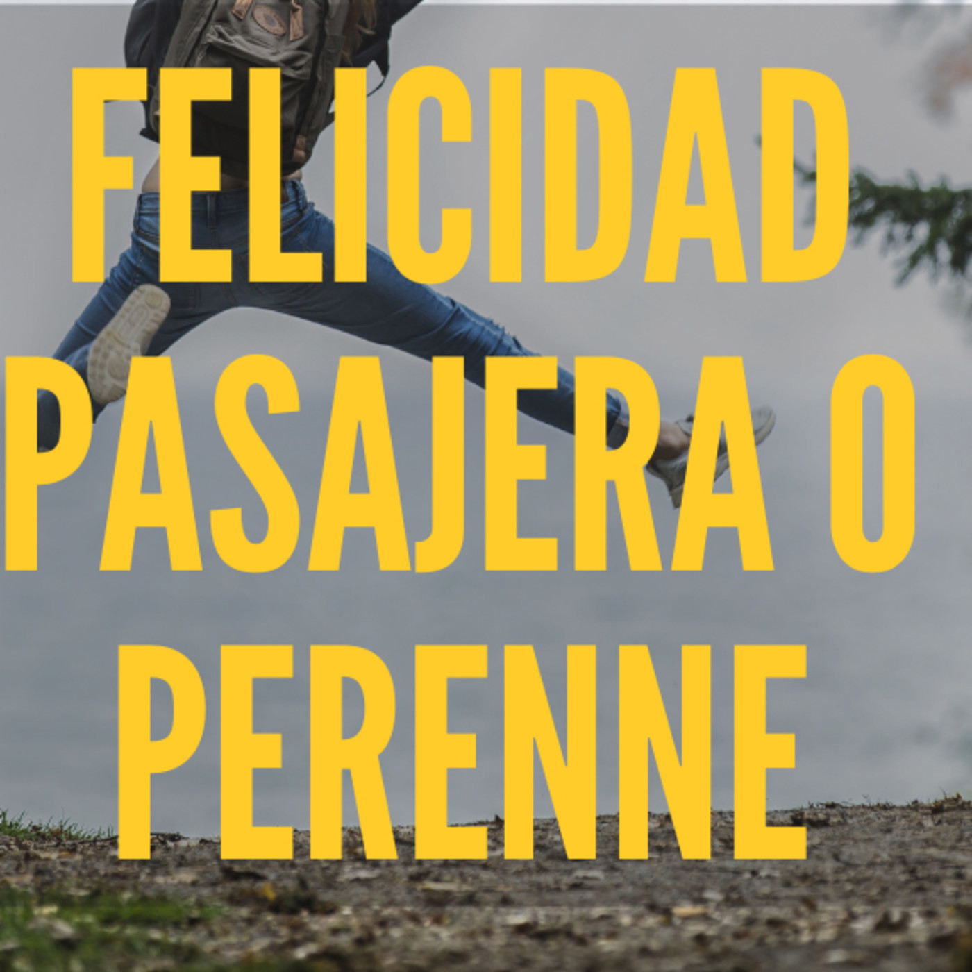 Despertar con Sentido