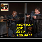 Arderas Por Esto TWD 8X14 ''·#TEAMNEGAN''