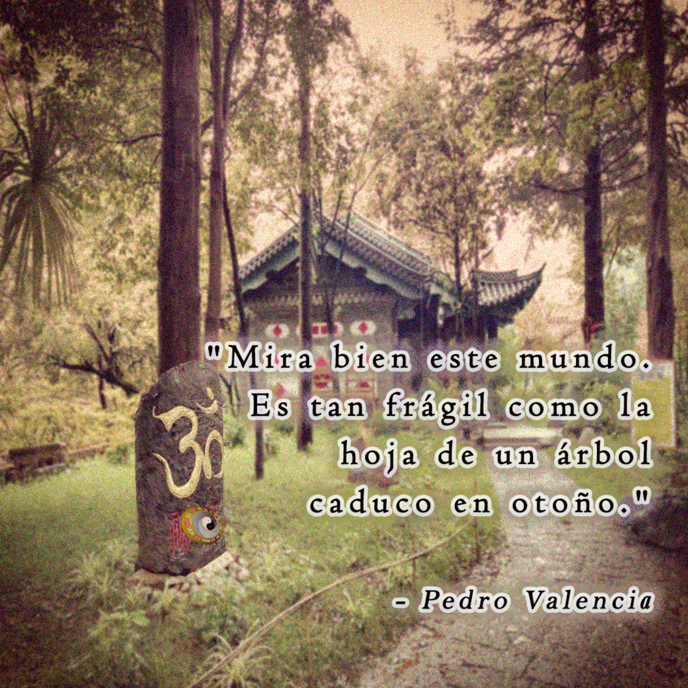 Meditación y Reflexión con Pedro Valencia