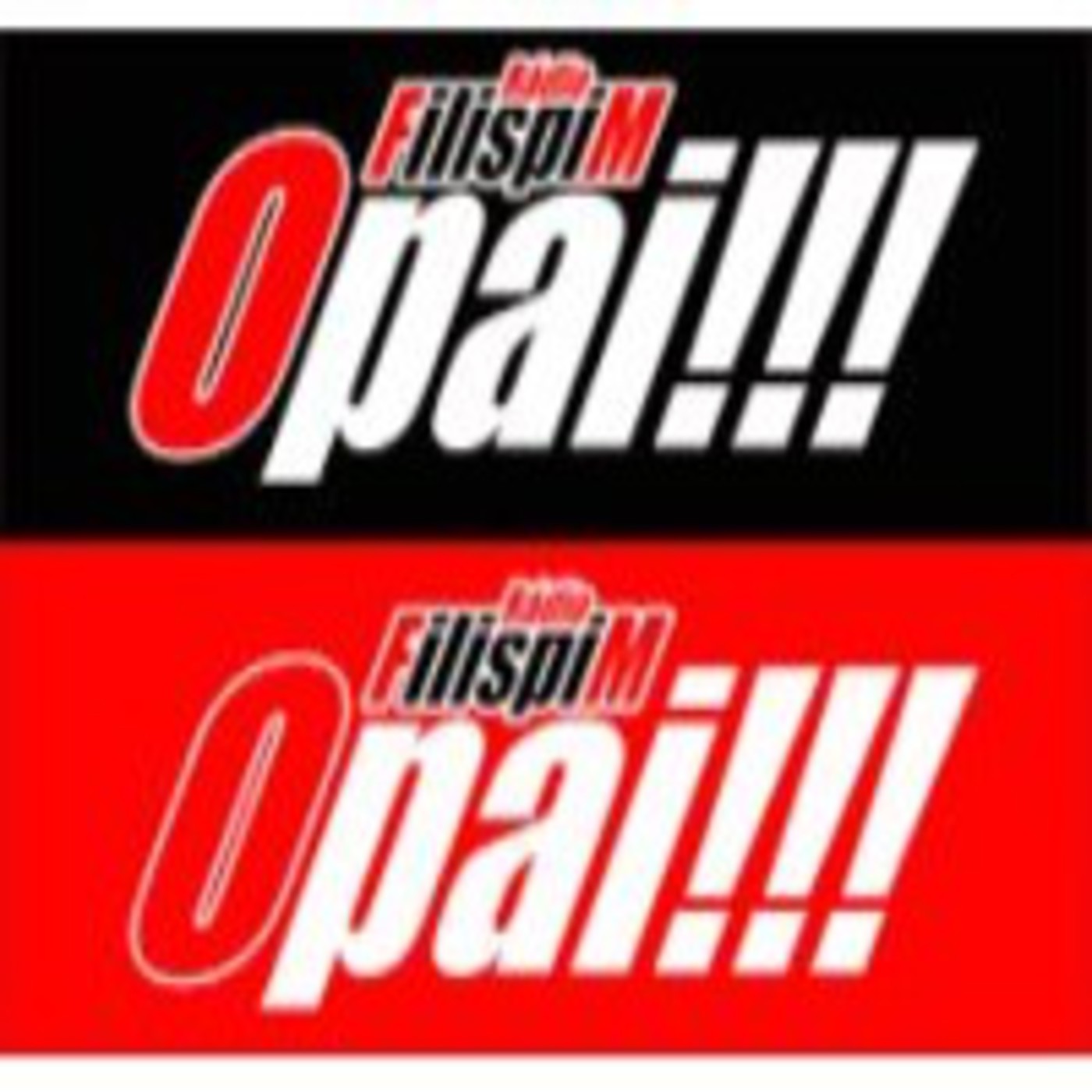 Programa do Colectivo OPAII
