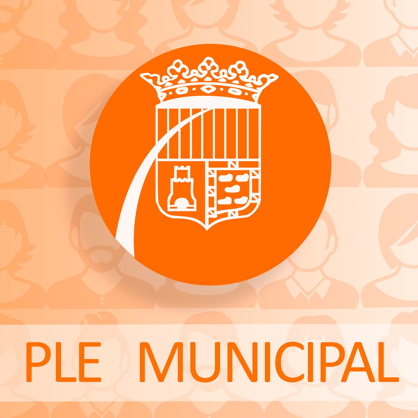 Ple municipal de febrer 2019. L'anàlisi episode artwork