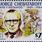 embed image
