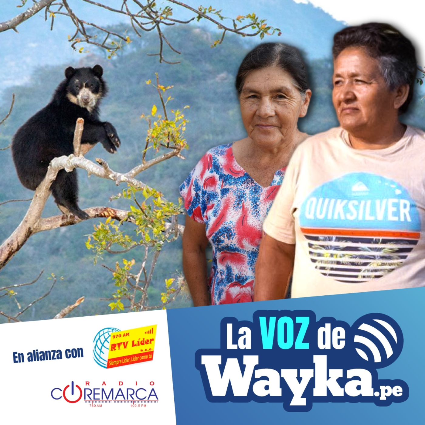 Wayka Perú