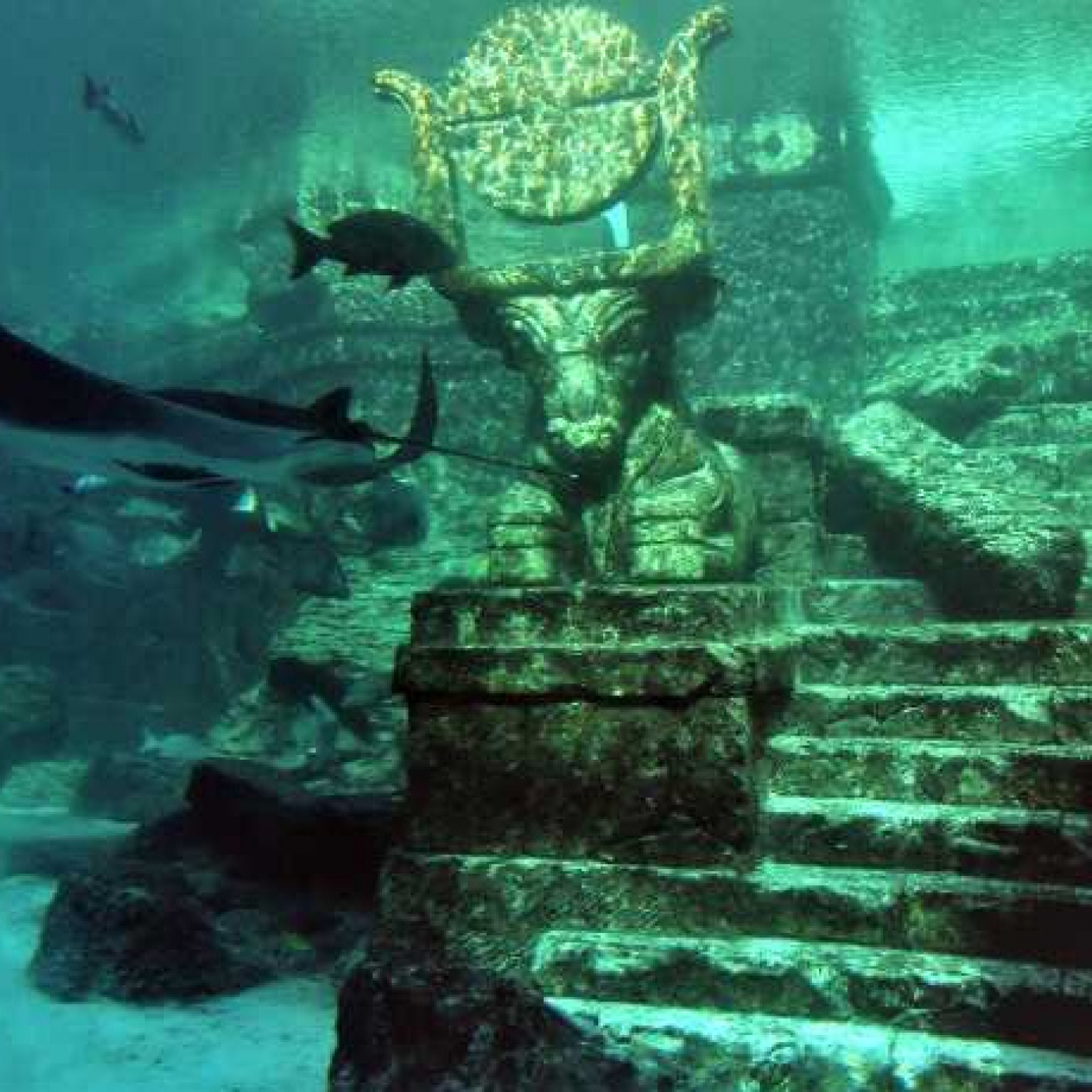 Drenar los océanos T3: Naufragios secretos · Ciudades sumergidas