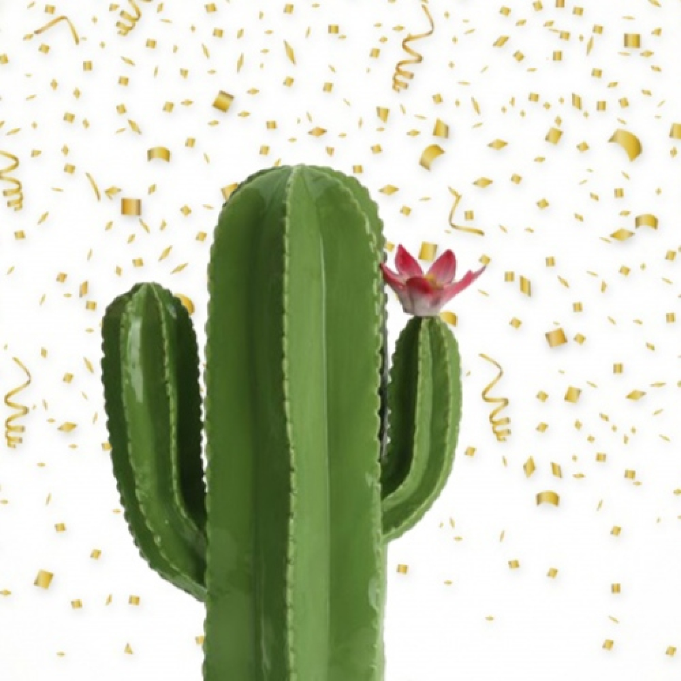 Cactus Confetti