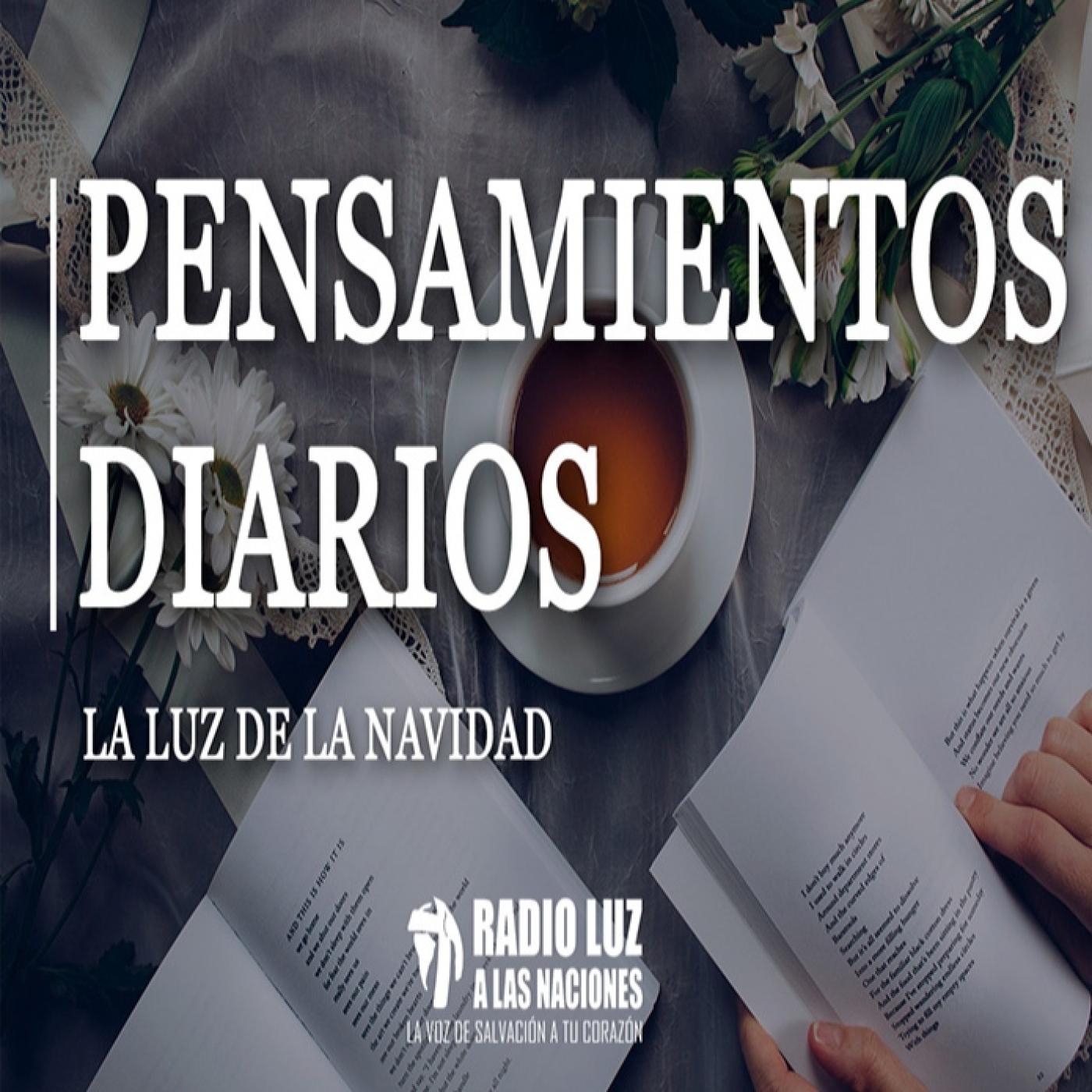 Pensamientos diarios