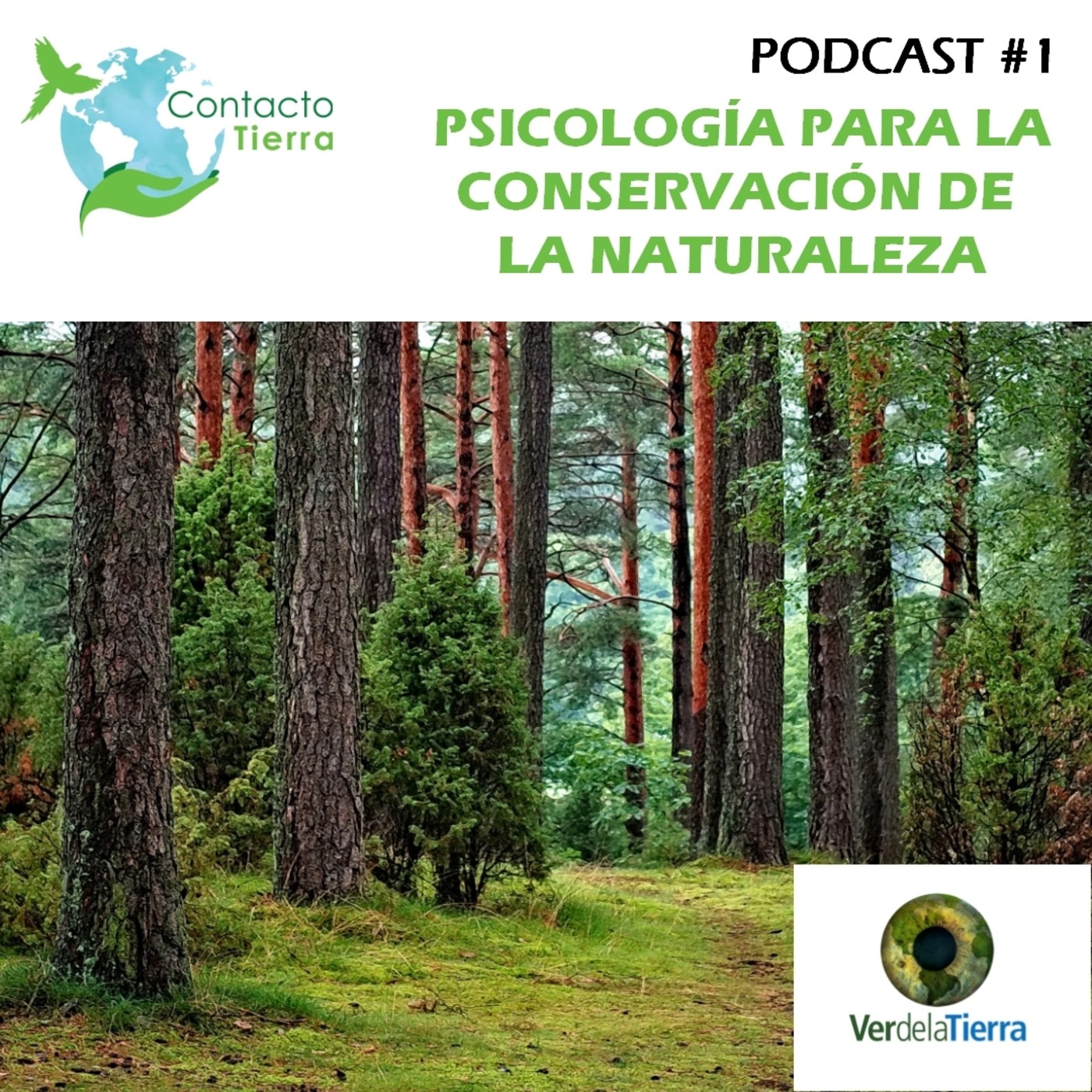 Contacto Tierra Radio USB