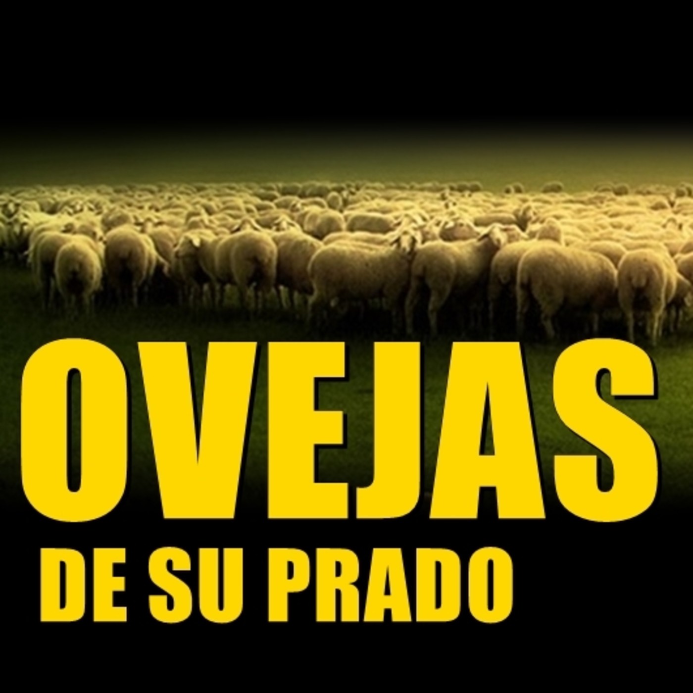 Ovejas de su prado episode artwork
