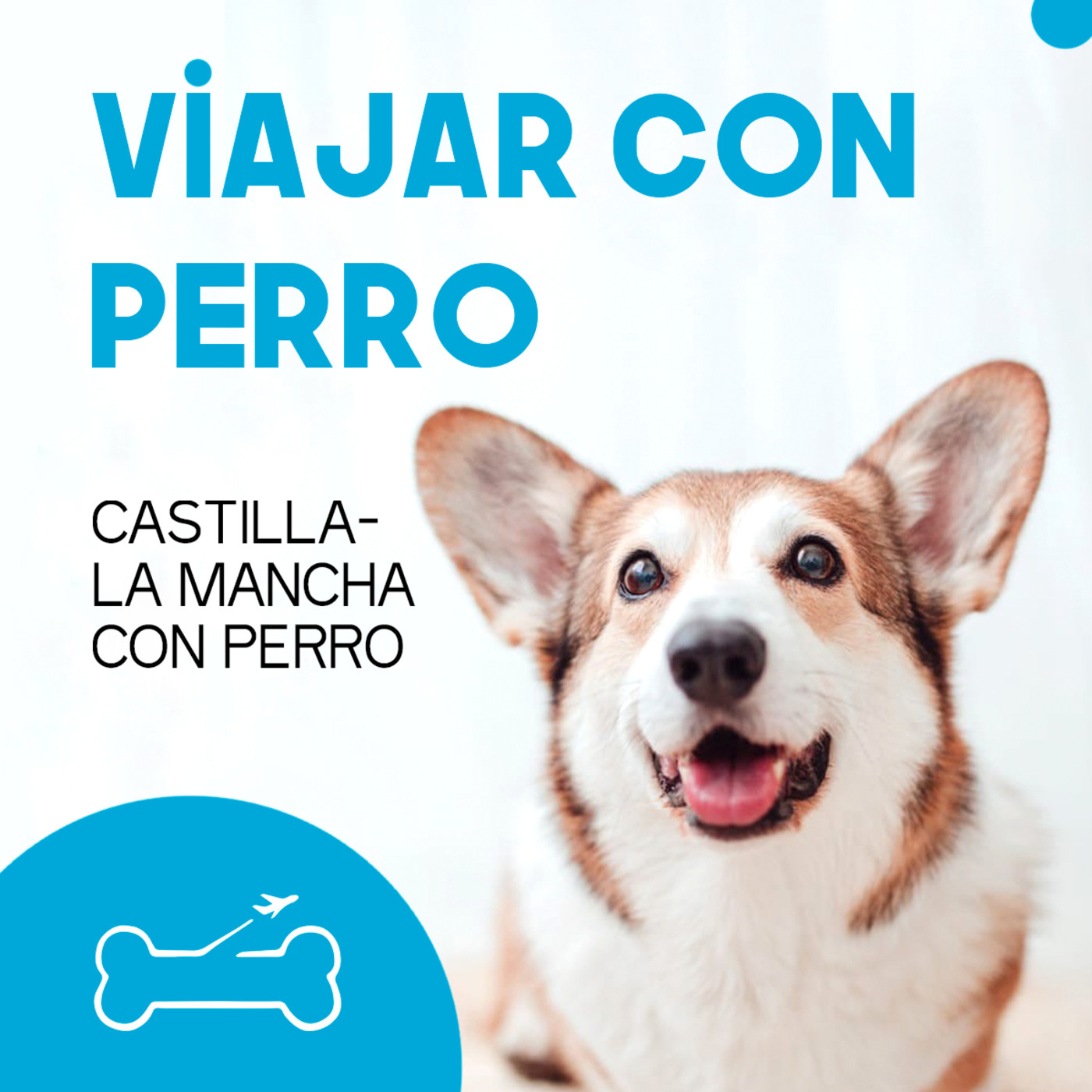 Viajar con perro. El podcast de Turismo Canino
