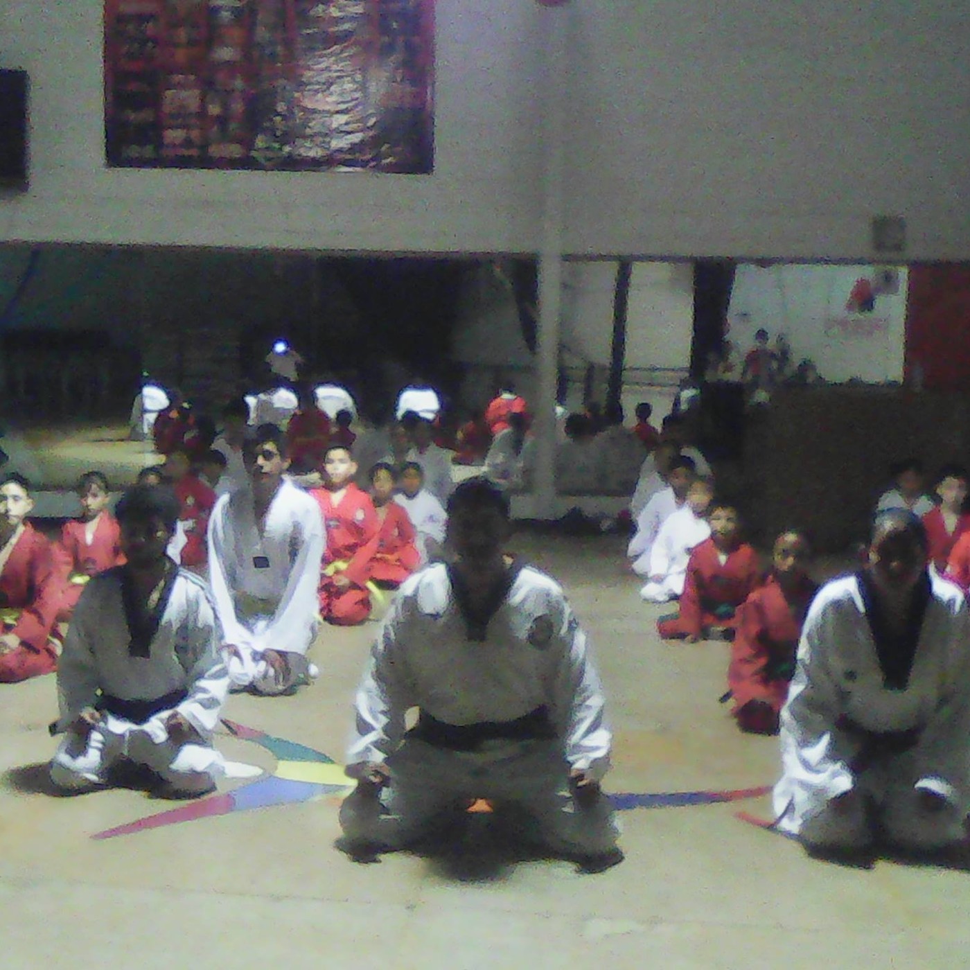 YOUNG SPORT