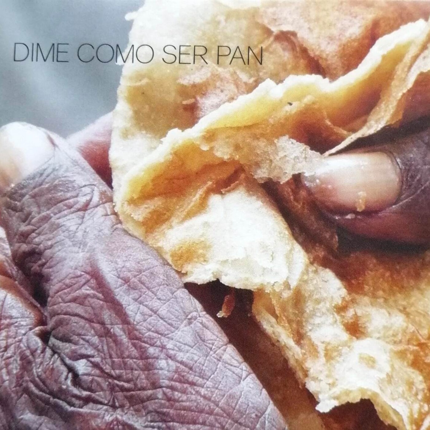 Especial disco 'Dime cómo ser pan', de Tere Nécega y Salomé Arricibita episode artwork