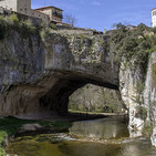 Divertimento Tinca tinca, 250519