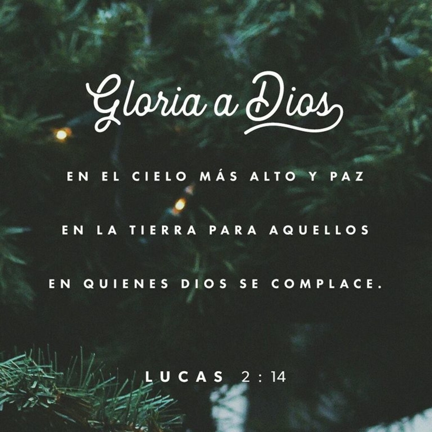 La Palabra de Dios para tu Vida