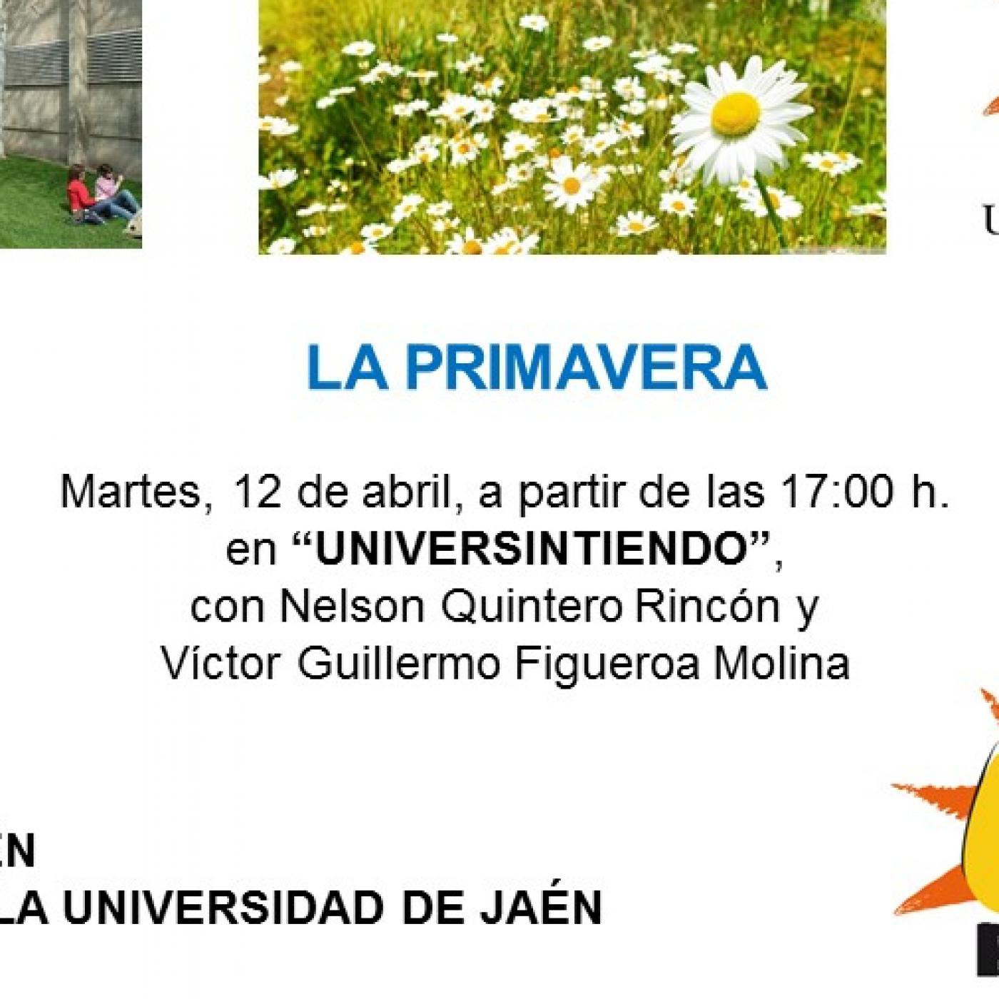 Universintiendo