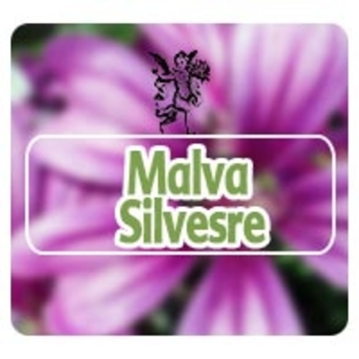 El Angel de tu Salud - MALVA SILVESTRE episode artwork