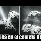 ¿Vida en el cometa 67P?