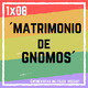 1X08 Matrimonio de Gnomos