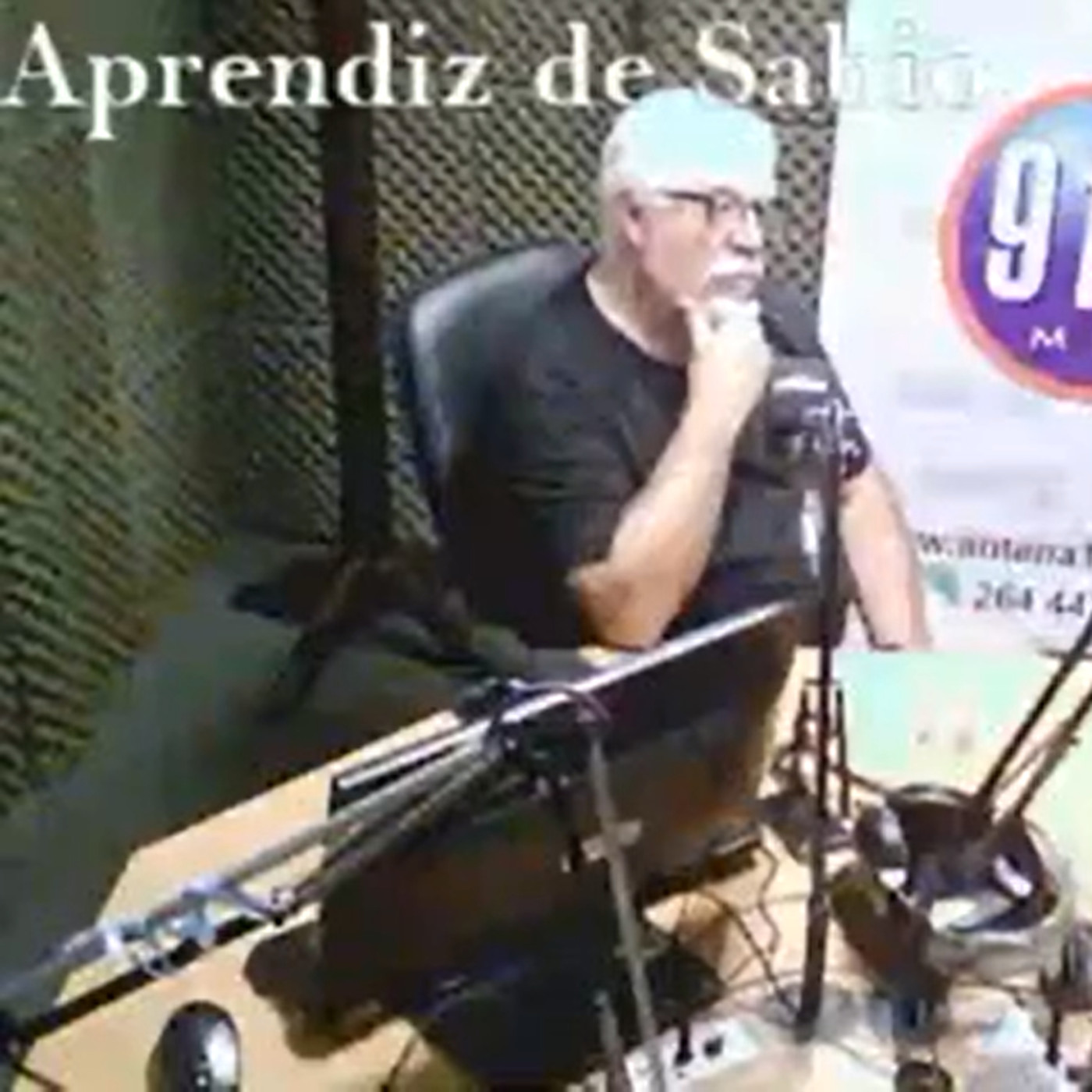 El aprendiz de sabio