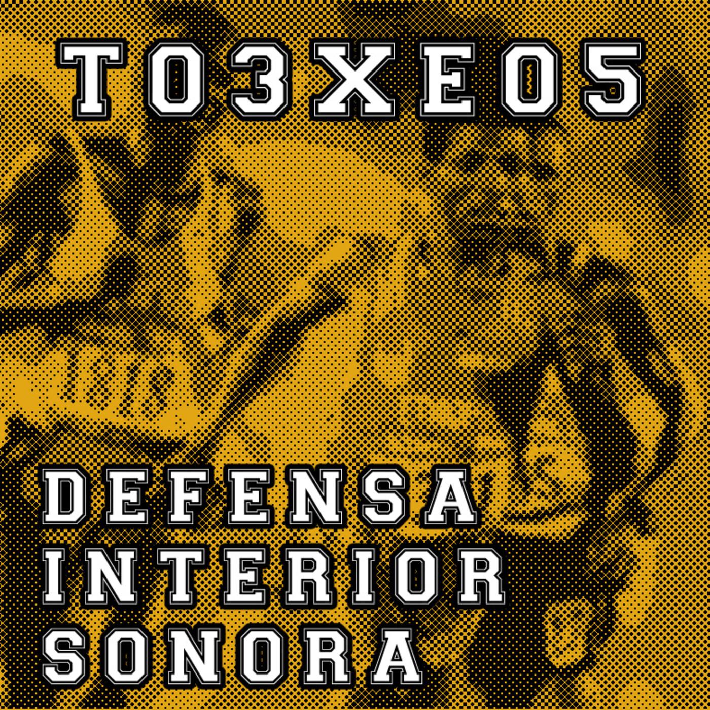 Defensa Interior Sonora