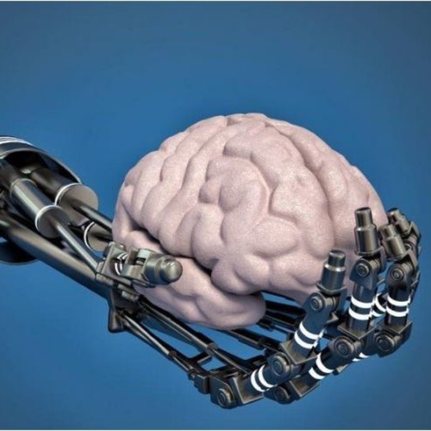 Ciencia a Conciencia